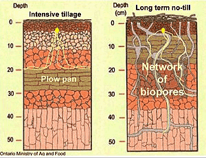 files/images/91figure2.gif