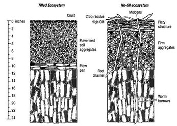 files/images/91figure3.gif